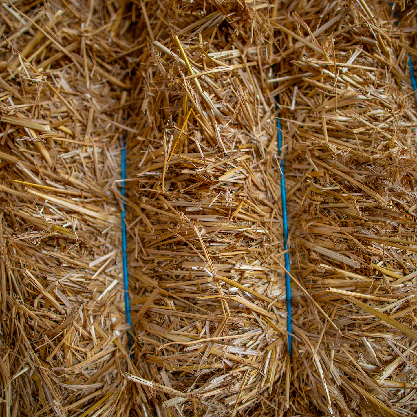 Close-up of a pile of straw