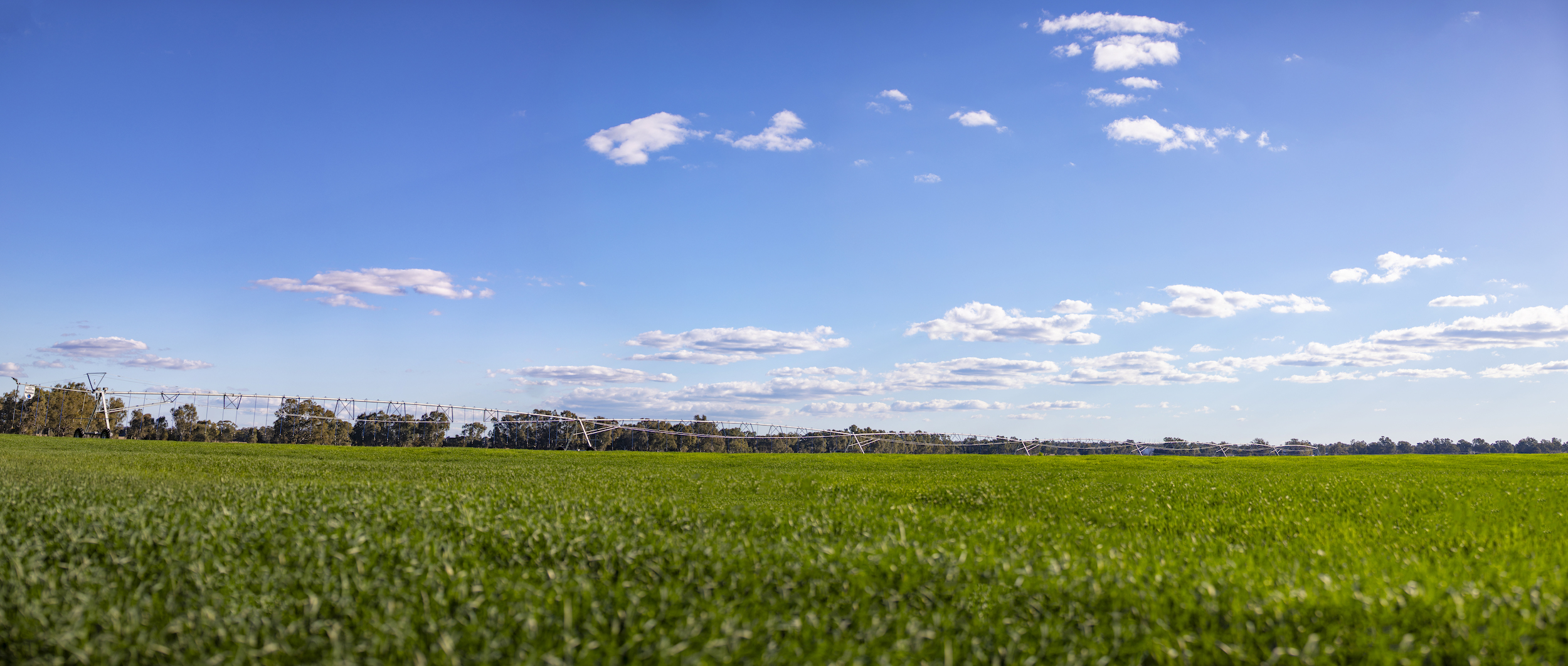 Lush green field under a blue cloudy sky.